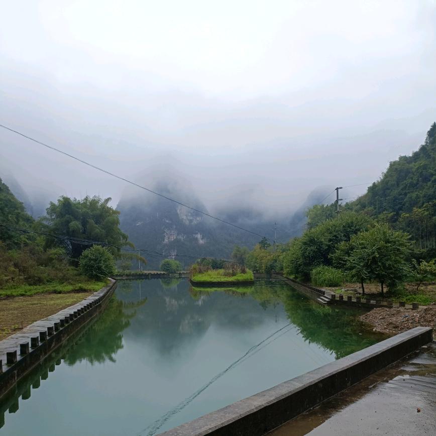 不再犹豫