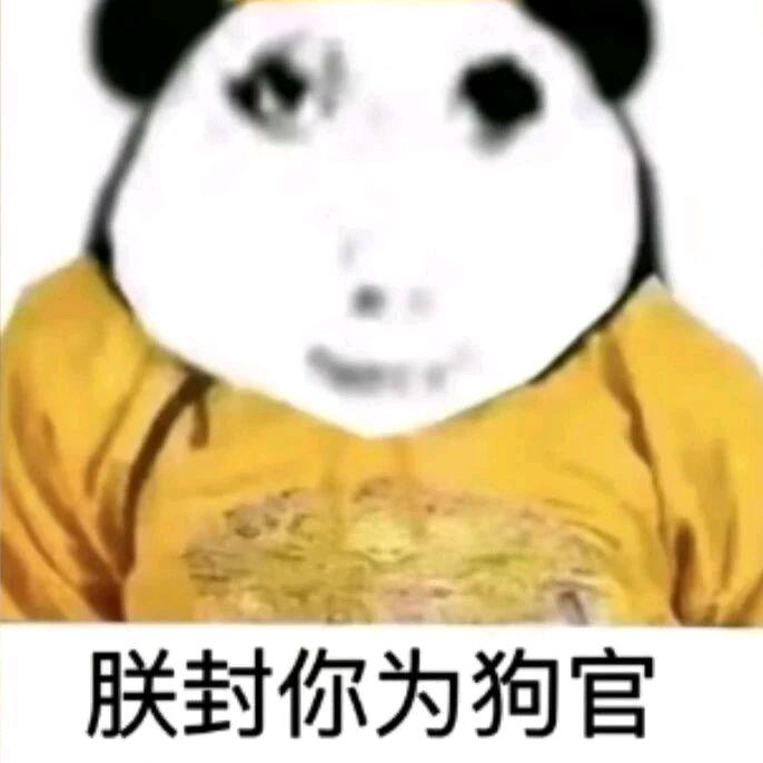wedddg