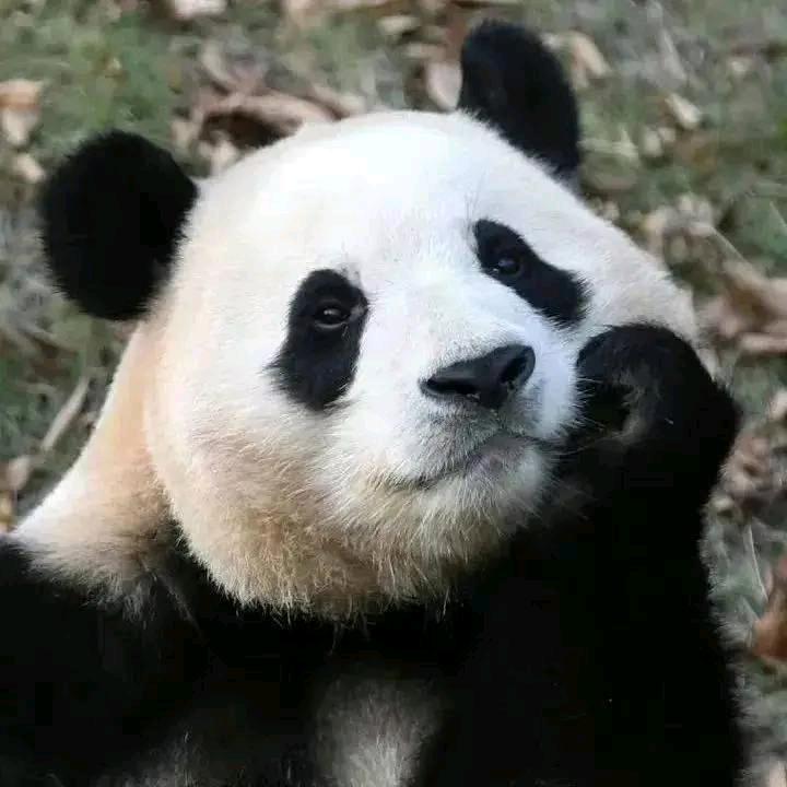 因为遇见你