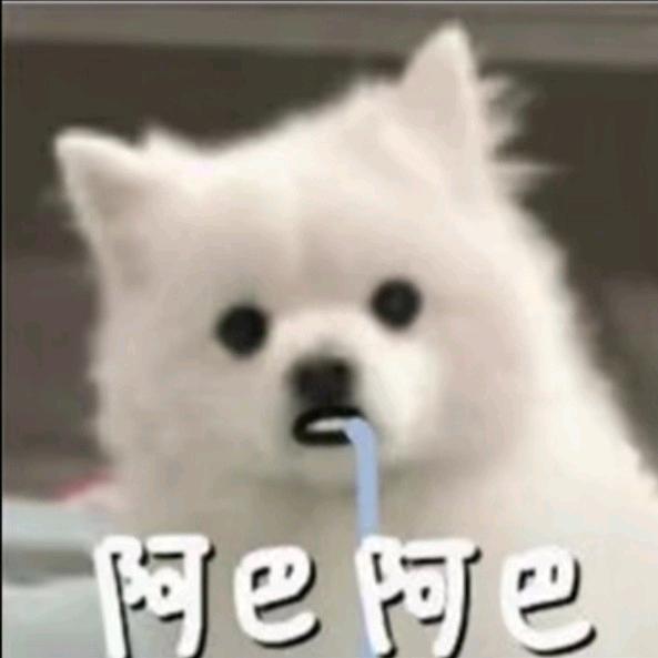 🌈微风细雨中路过🌈