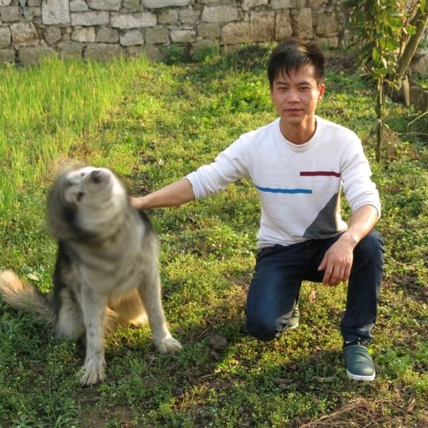 陈林
