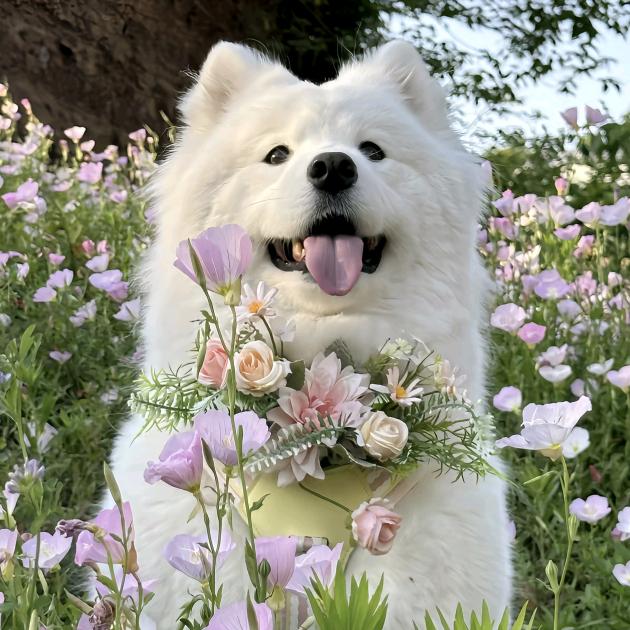 不爱喝饮料的零食爱好者