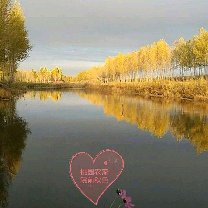 桃源老翁农家院