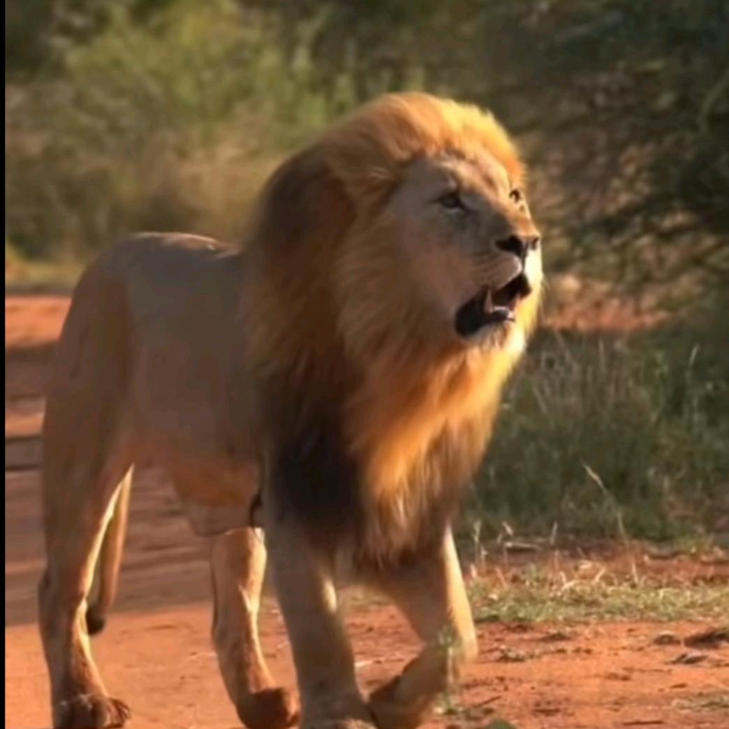 阿布都克热木    xohhhhh