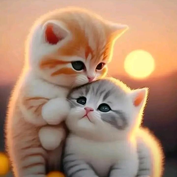 ꧁꫞꯭晓薇꫞꧂