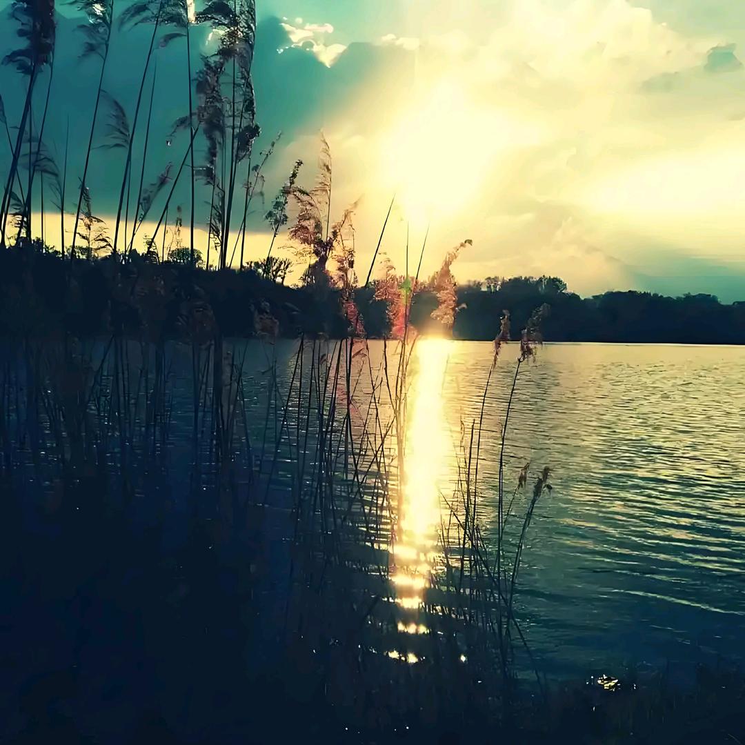 聊天框里透明人