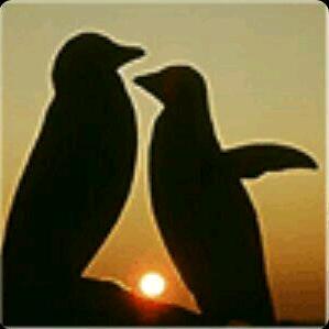 我的意中人是个盖世英雄