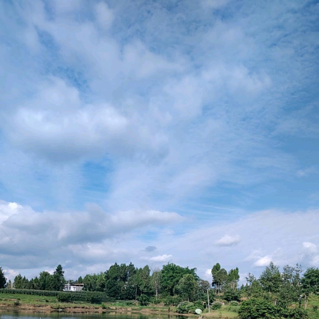 玉山镇林哥钓场