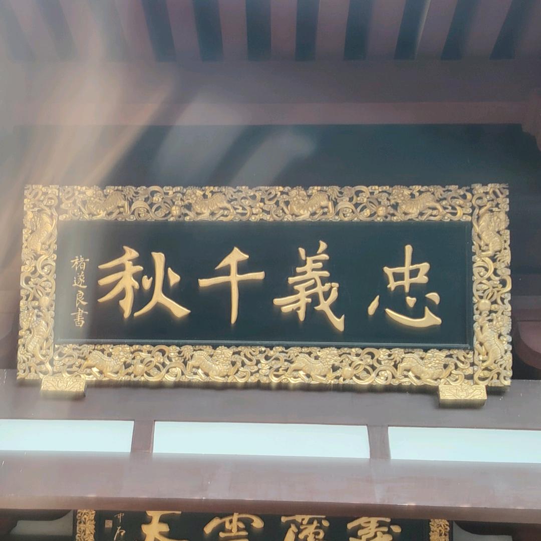 魔兽部落862