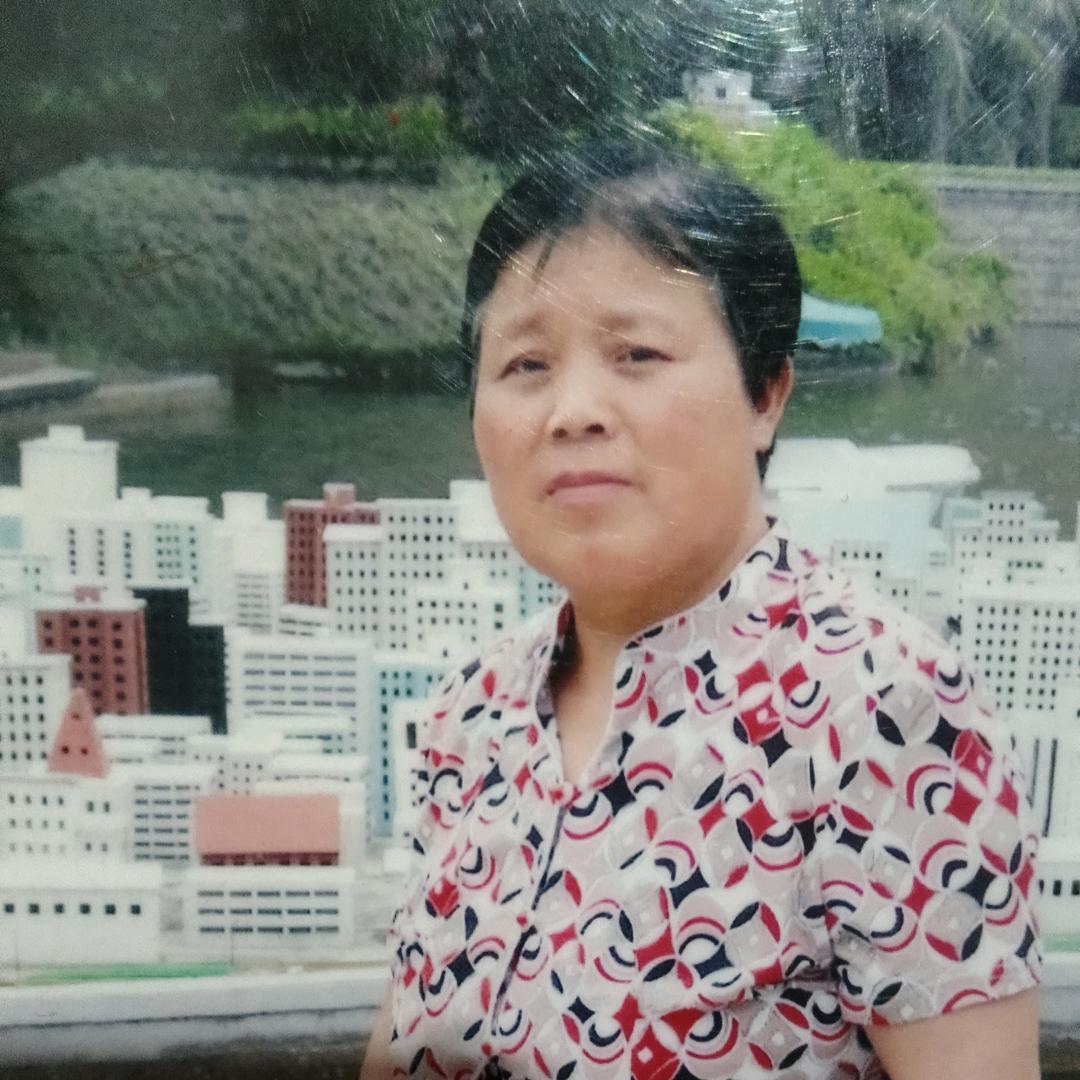 开心果<谢友兰>'