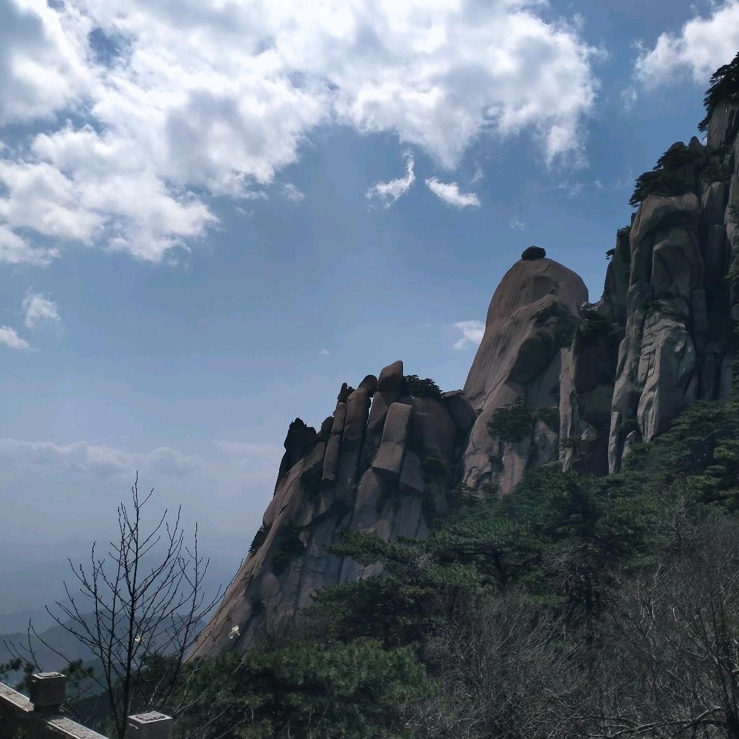 @🍃仰望星空