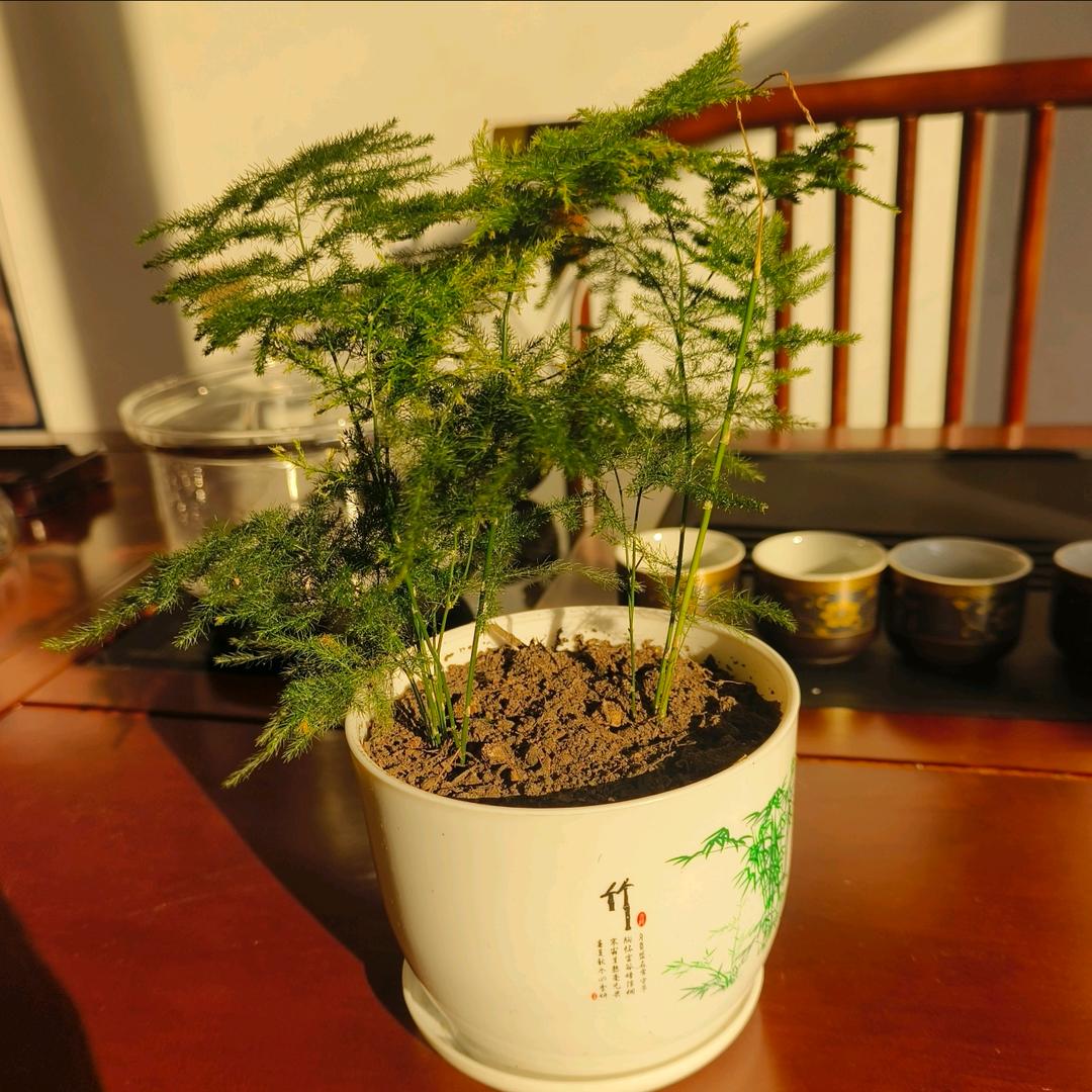 汇洋茶楼