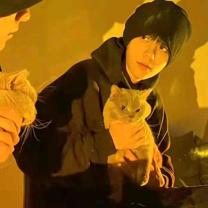 川.无畏契约