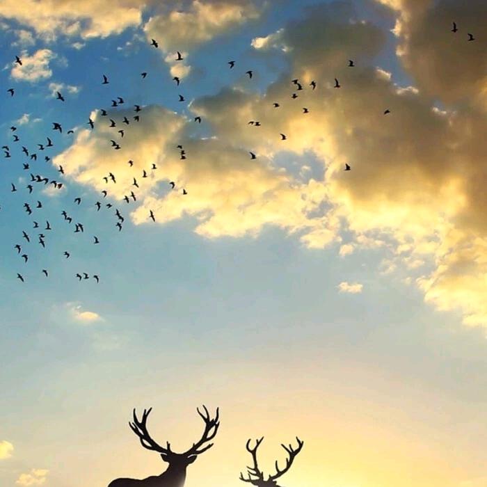 王林   收割玉米籽粒