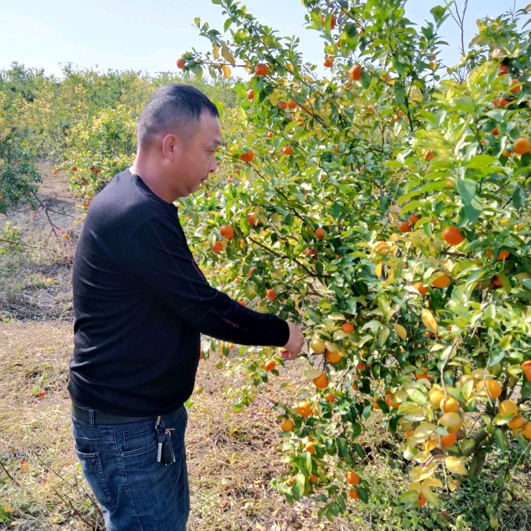 吕作锋（建筑木工团队）