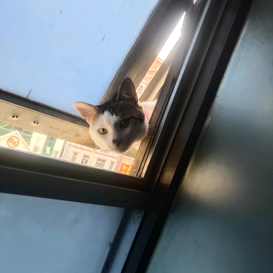 俊王
