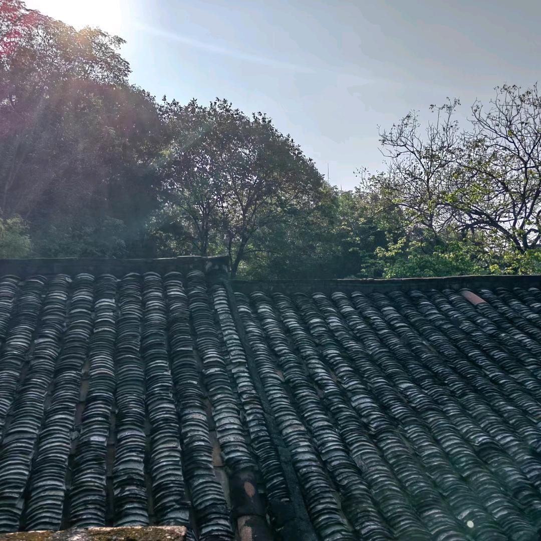 晨曦