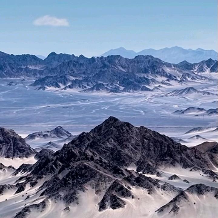 昙花