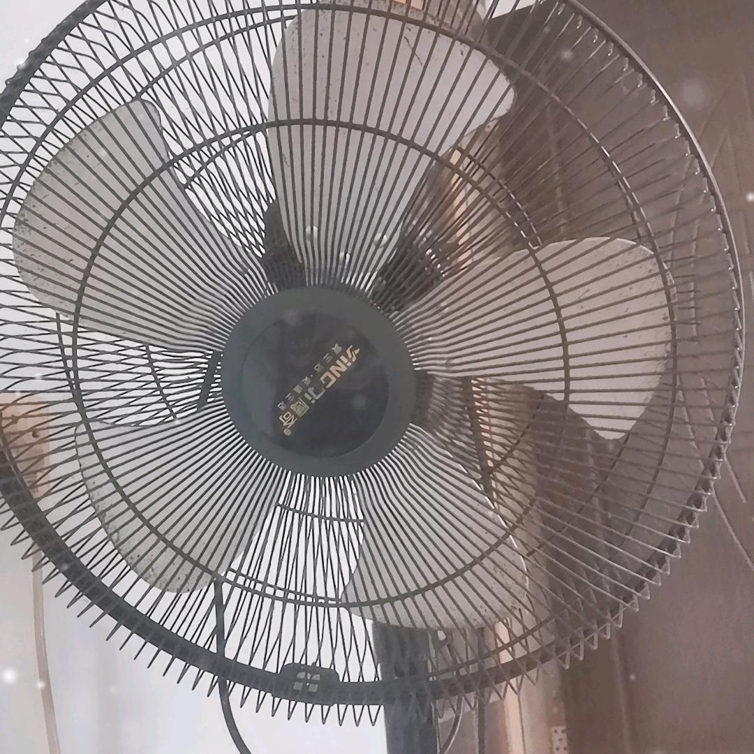盖茨比吃