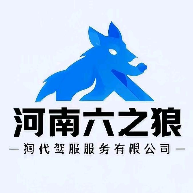 河南六之狼代驾