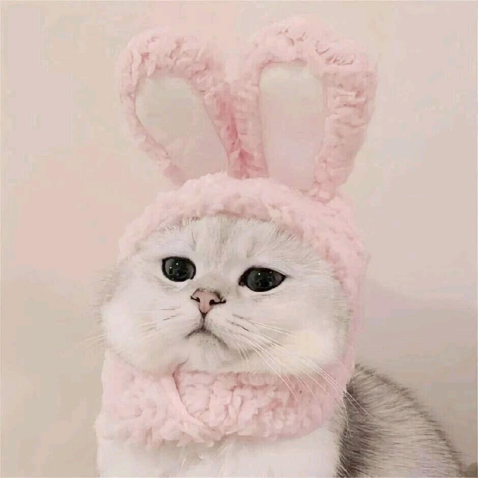 禾苗～