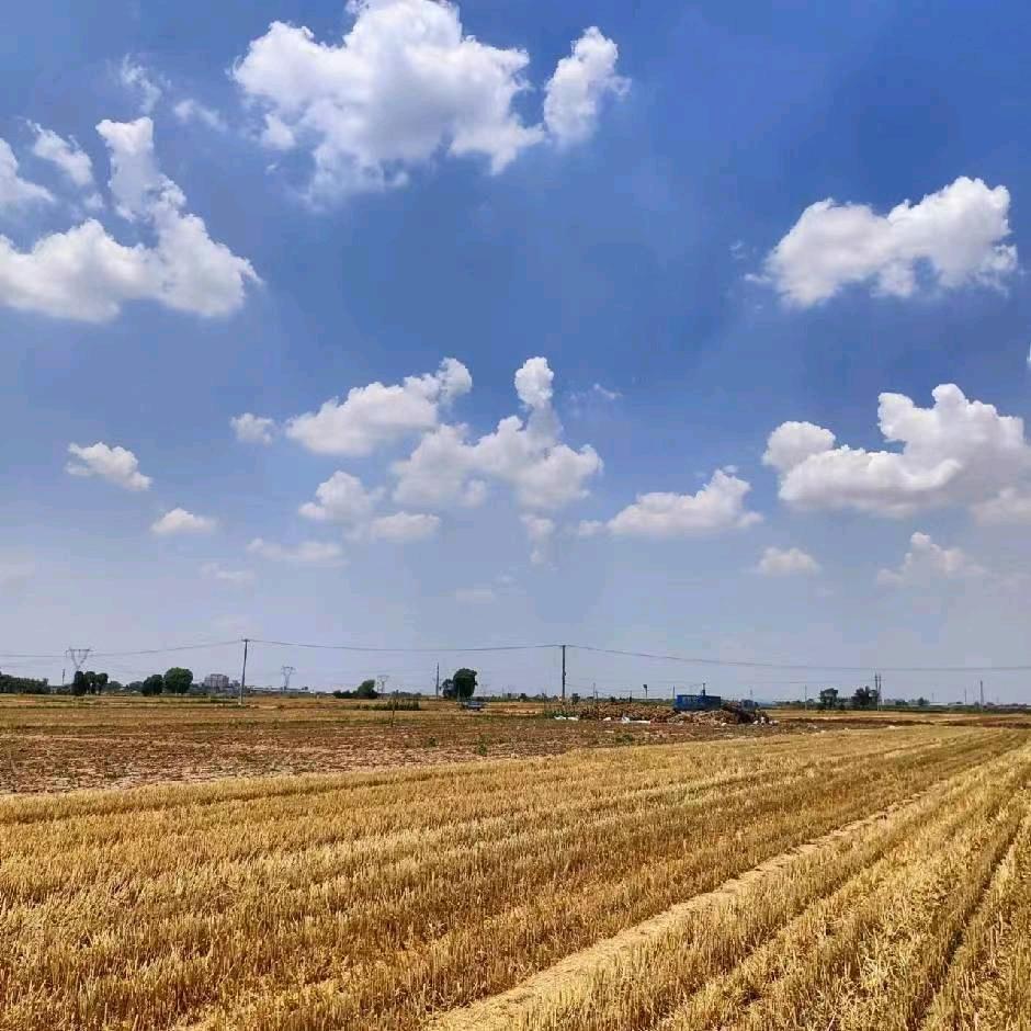 Lxy好好干活吧！