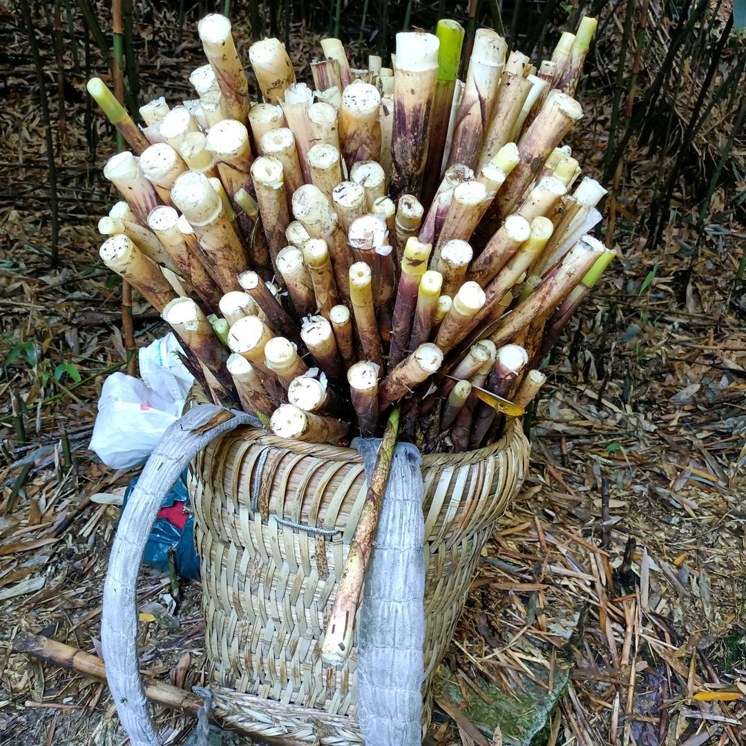 忍让在先。请你慎重