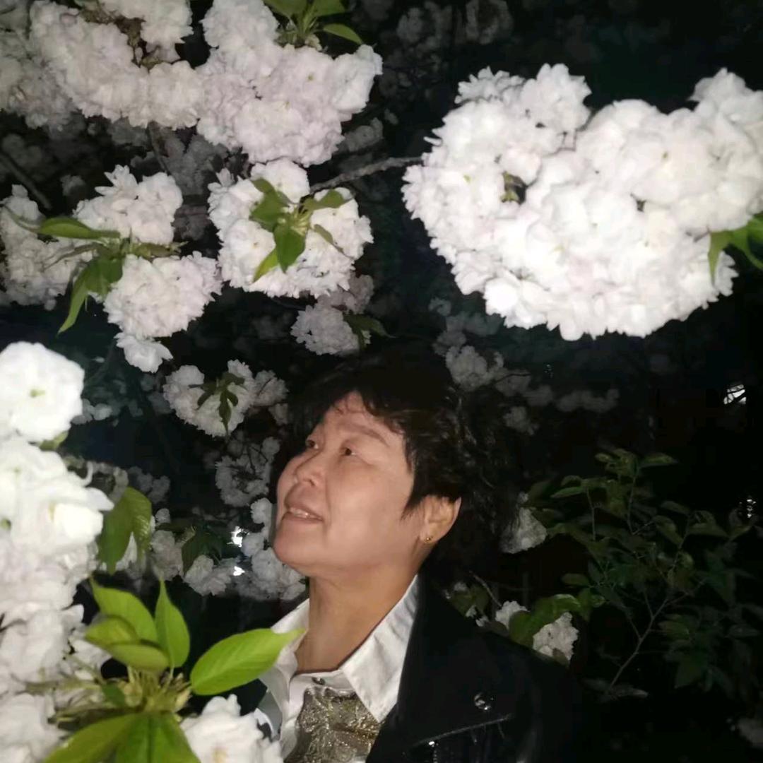 雨后的梅