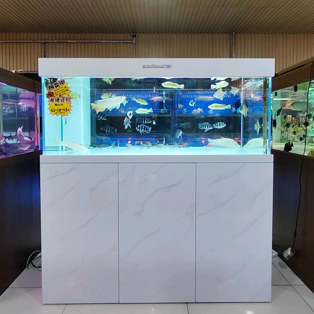 予龙轩（精品鱼缸优选）