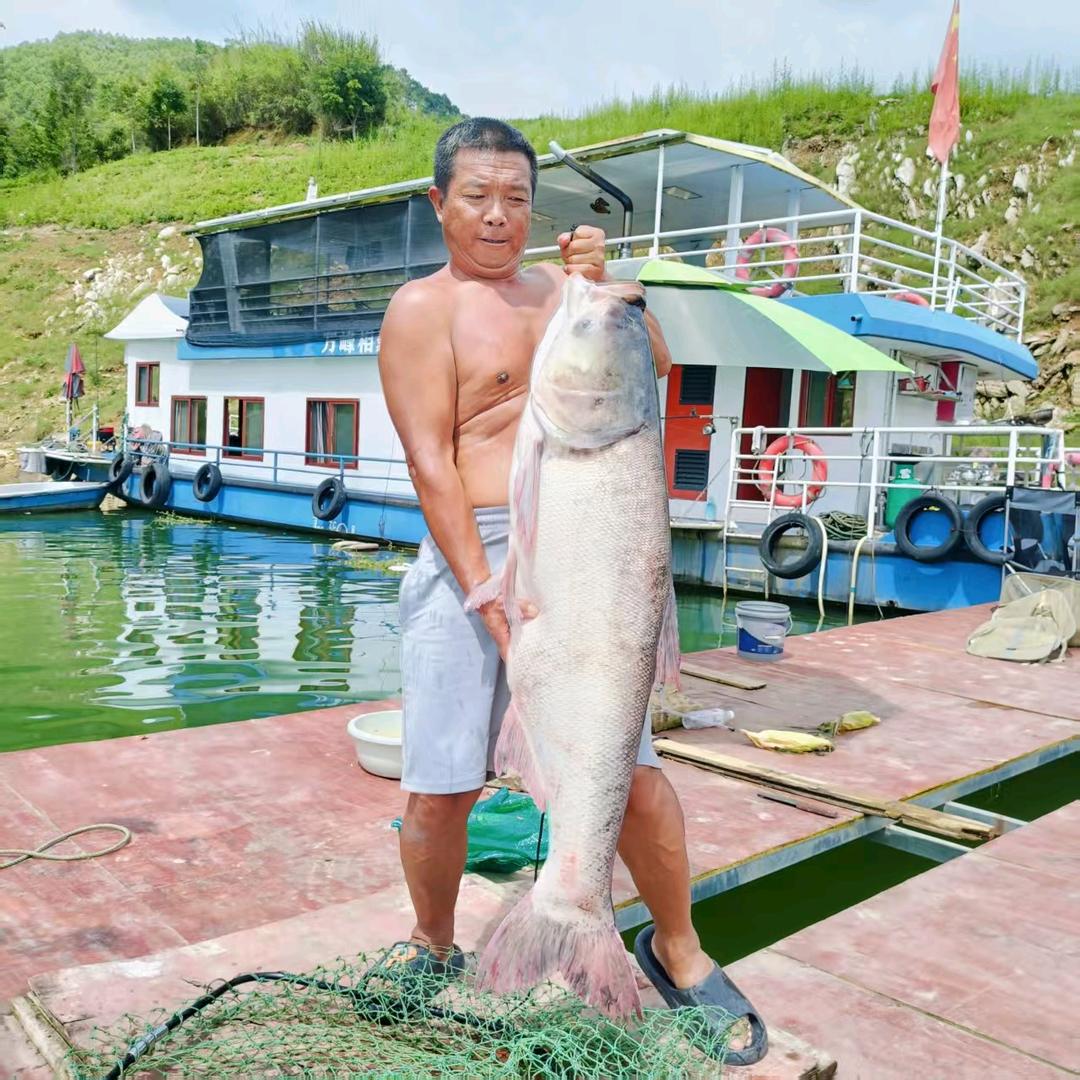 鄢代学万峰湖船钓接待家园欢迎你