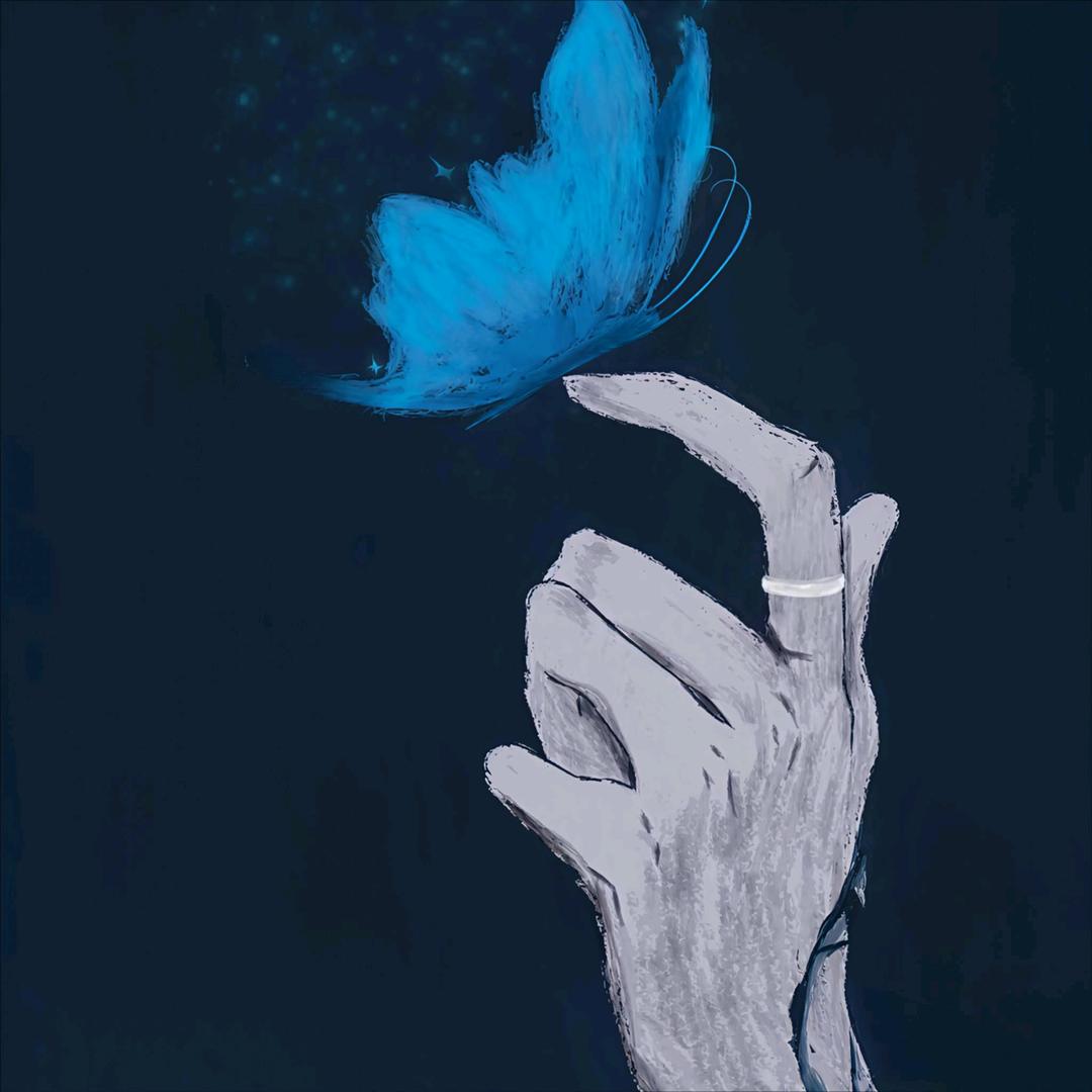 蓝桉长在洱海边.