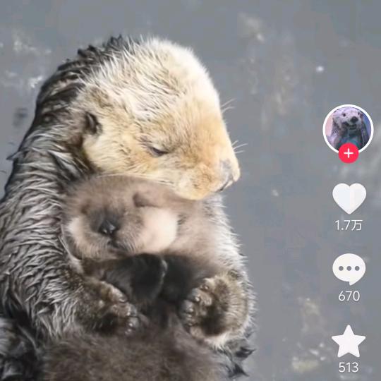 新号俩儿子宝妈赚生活费