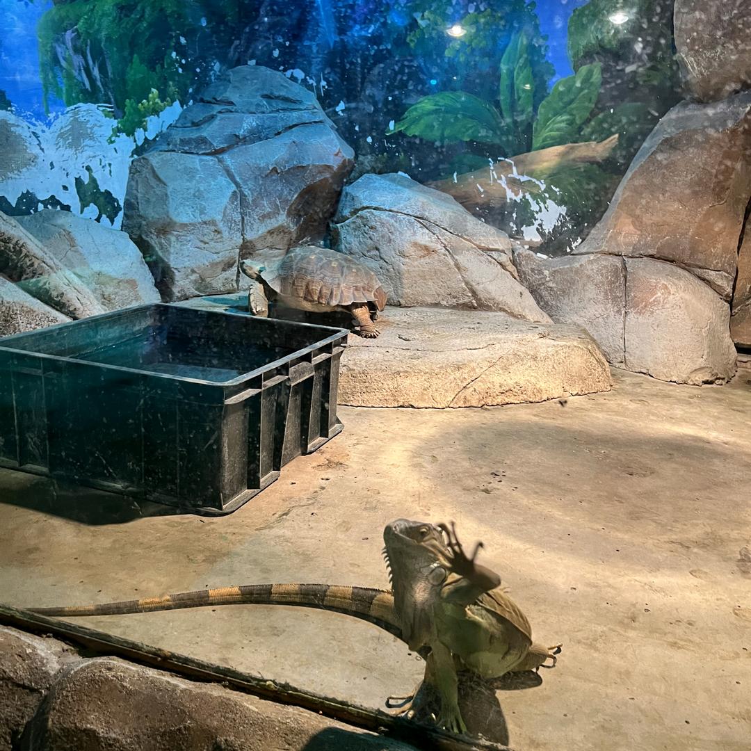 重回故里草木深