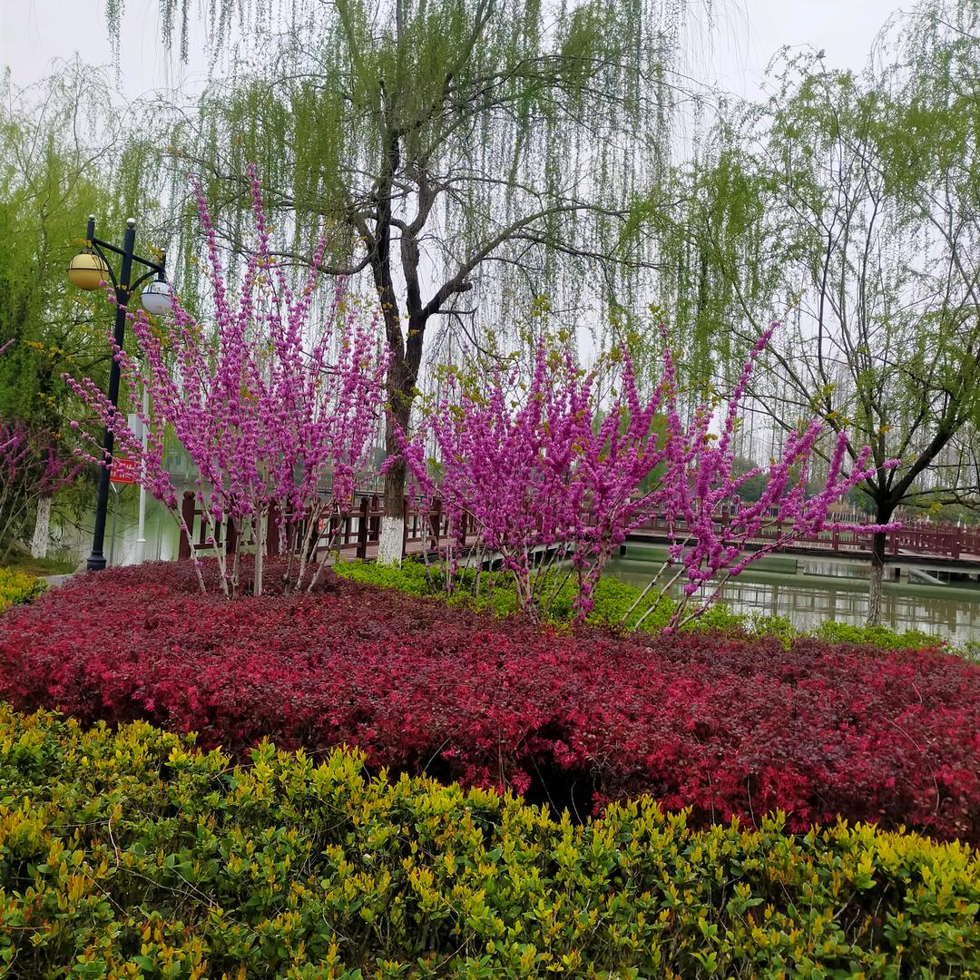 忘记过去 ！从新开始