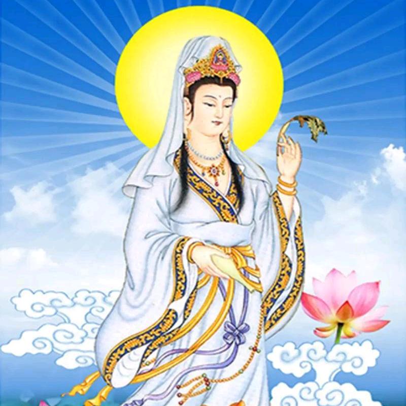 ༄菩提子࿐