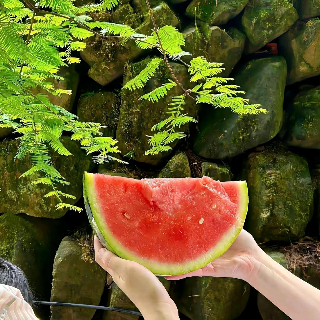 便携榨汁机测评