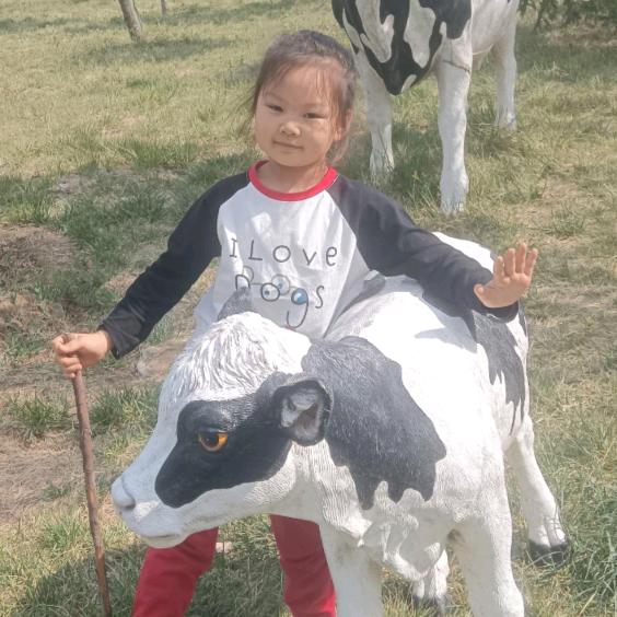 吉星高照