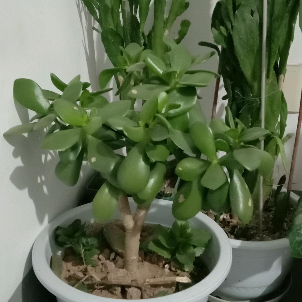 我的回忆