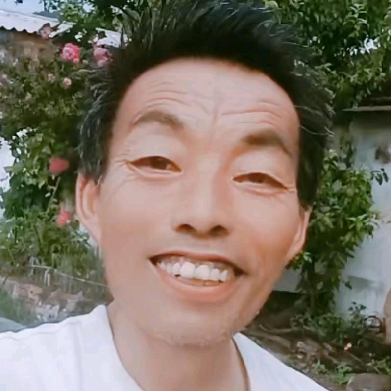 无与命争
