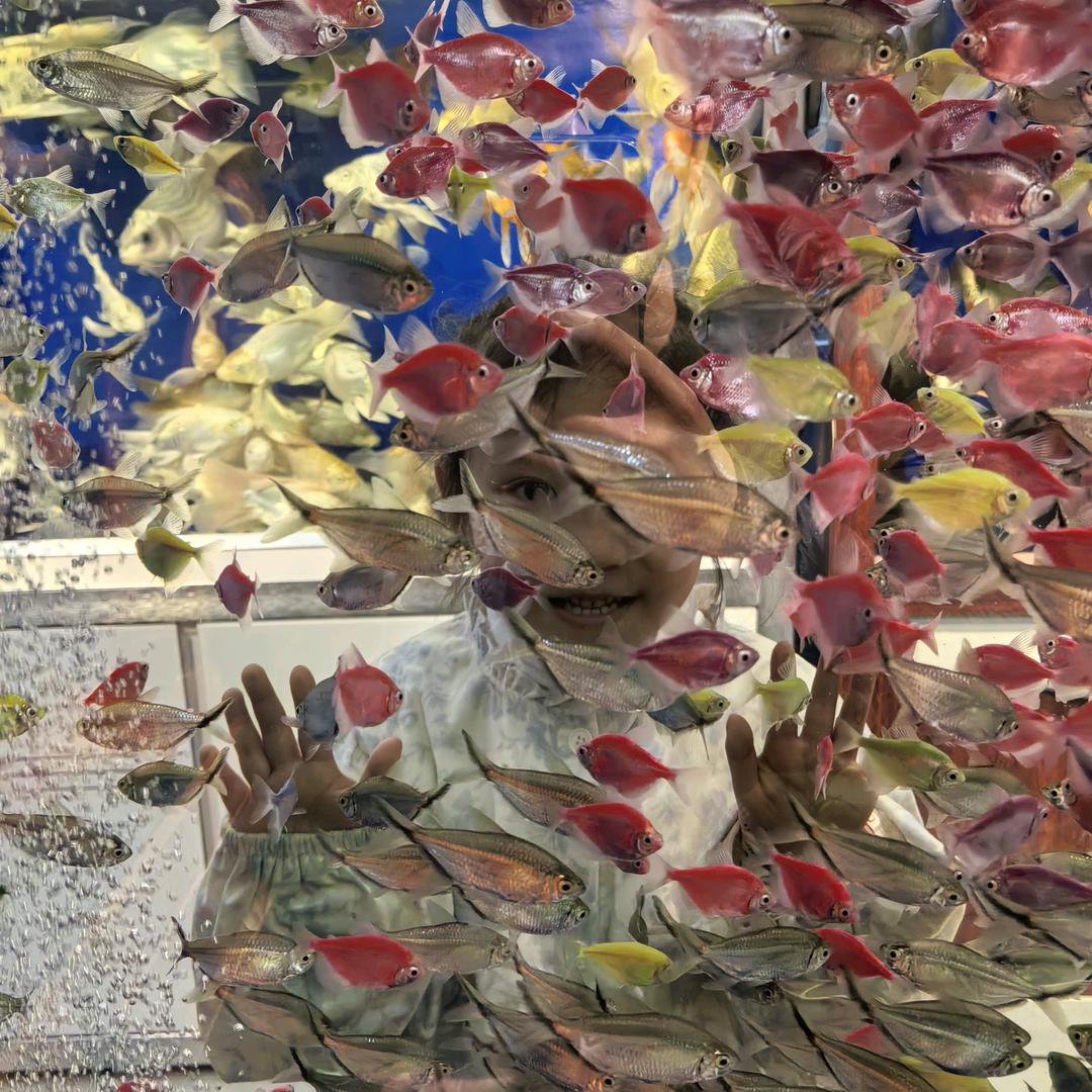 顺哥哥