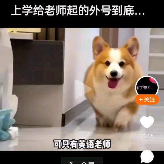 一点点钻石