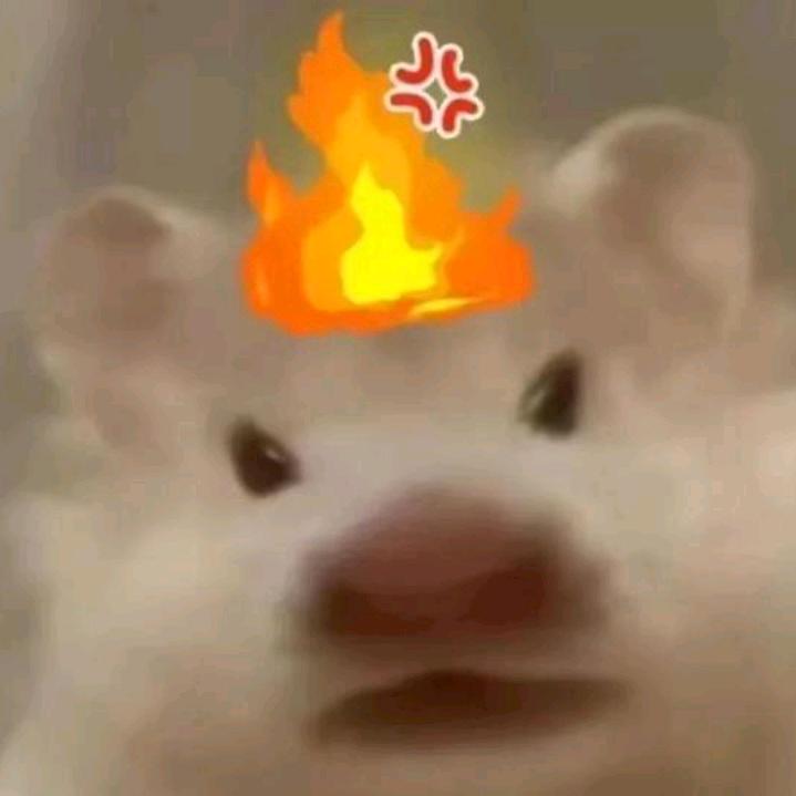 扣扣脑，扣扣脑…