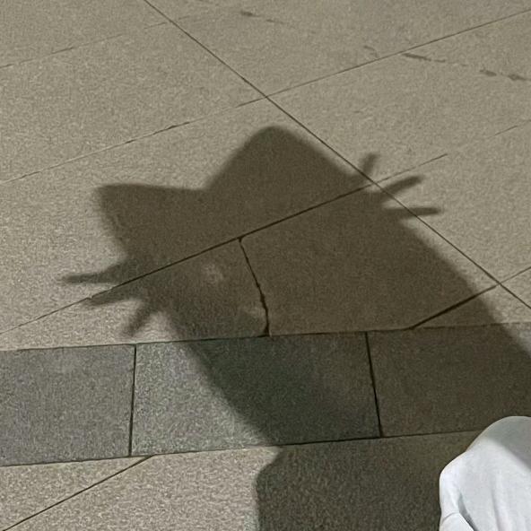 _林黛玉温酒斩华雄_