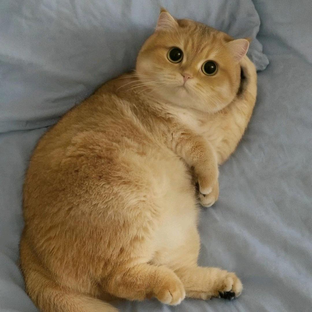一一贰