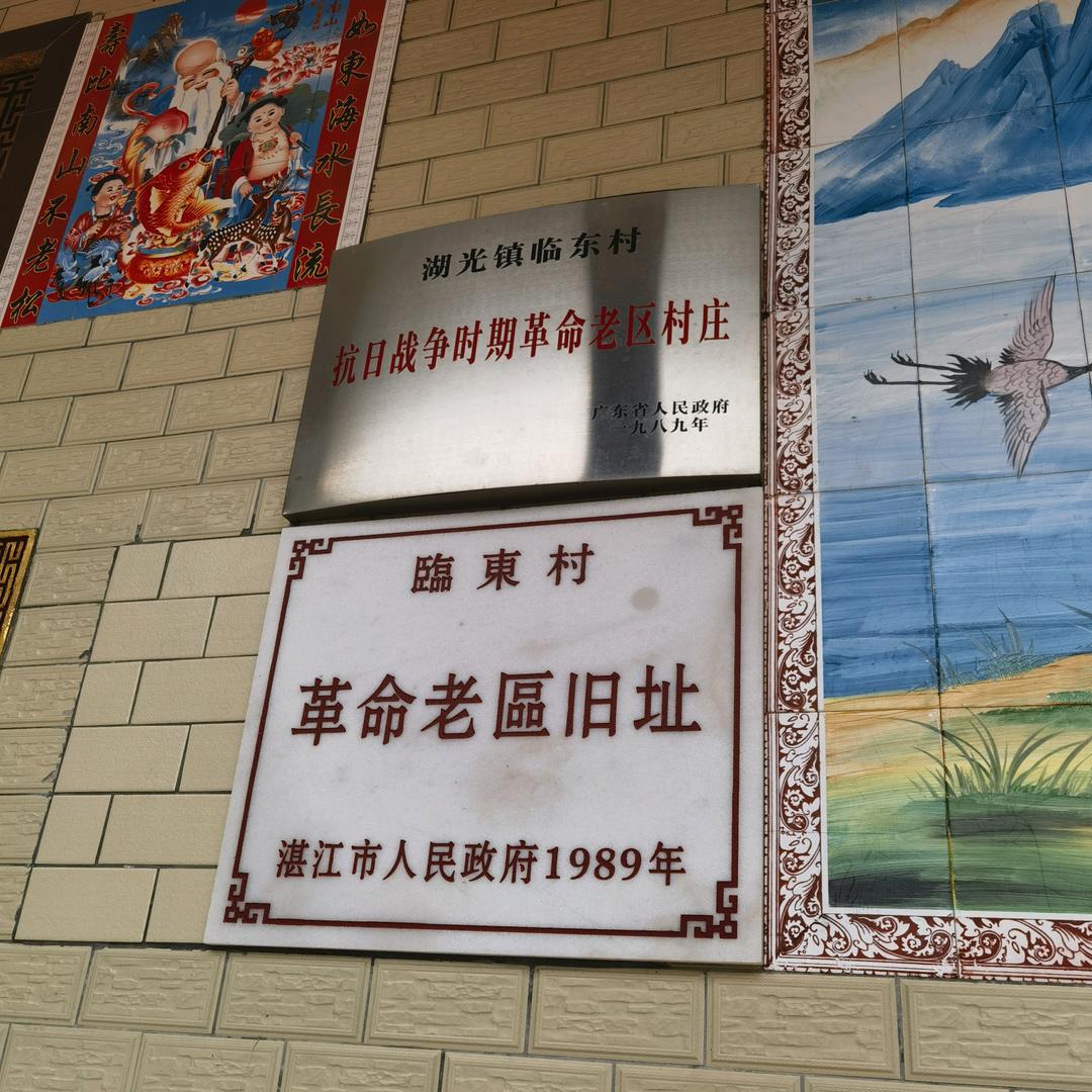 临东村文化宣传