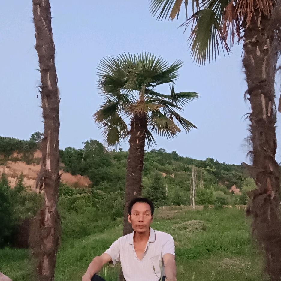 高高兴兴的人