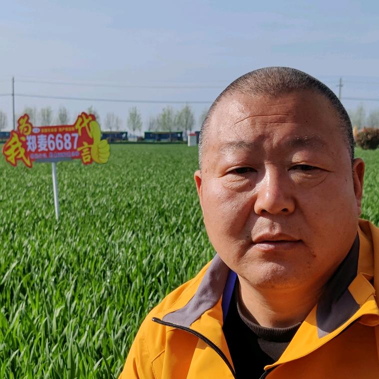 遂平阳丰陈平农资