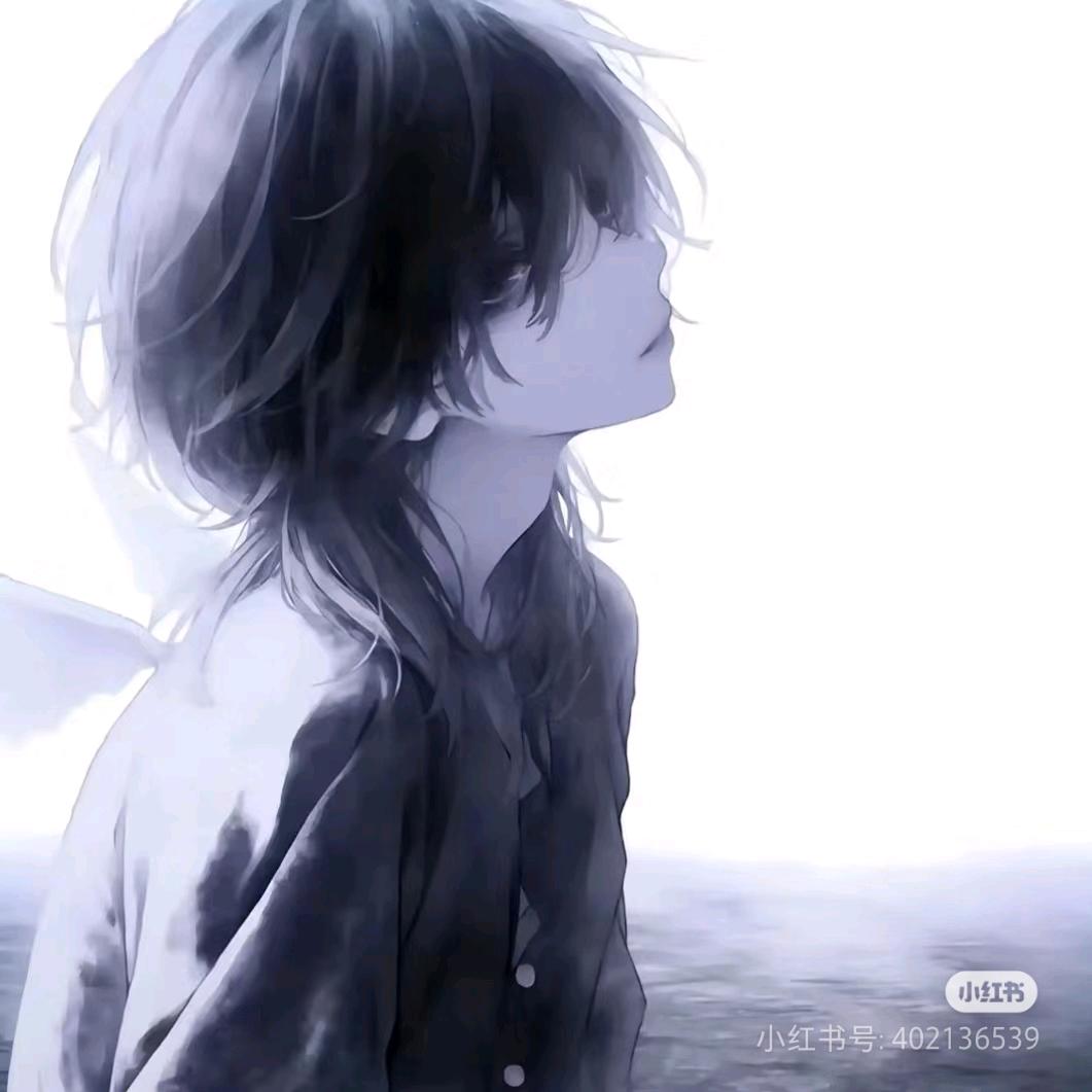 阿狸（球涨粉版😢）