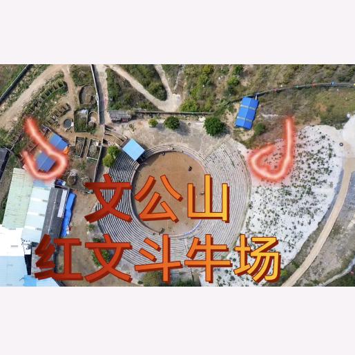 泸西红文斗牛