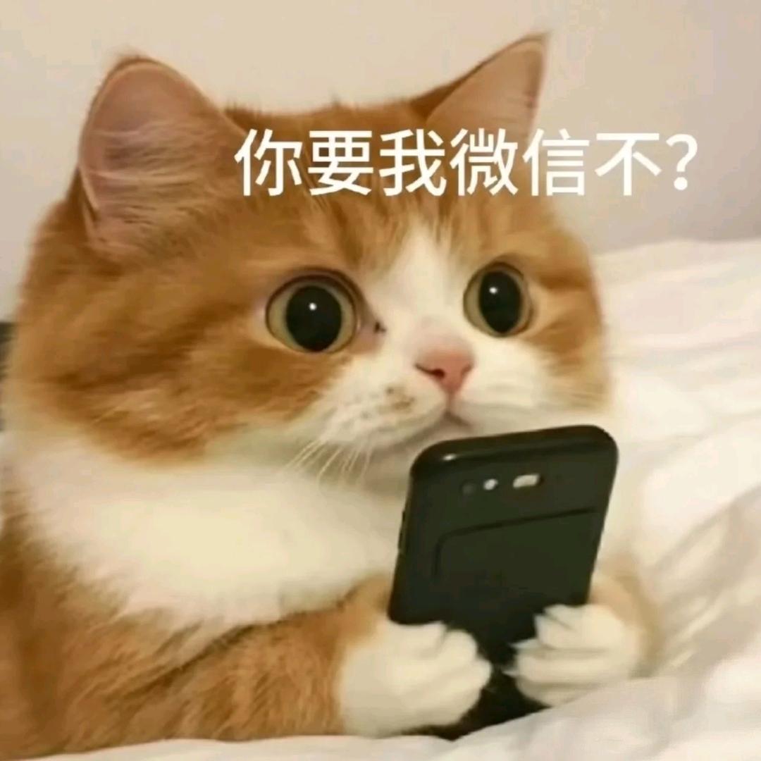 开封（脱单牵线）